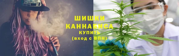 трава Каменногорск