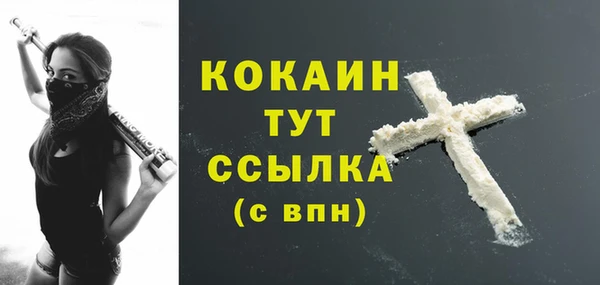 дживик Каменка