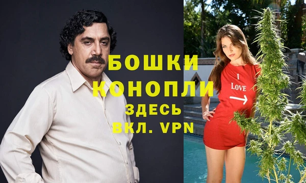 дживик Каменка