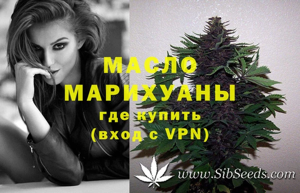 дживик Каменка