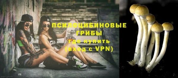 дживик Каменка