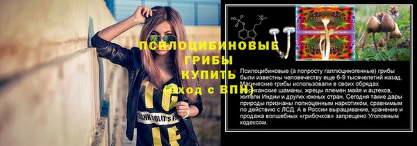 дмт Карталы