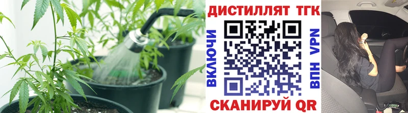 ТГК гашишное масло  Купить закладки  Луза 