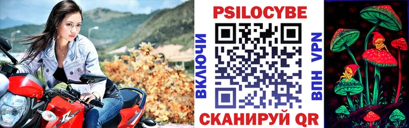 Купить закладки  Луза  Псилоцибиновые грибы Cubensis 